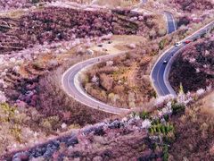 -定都阁