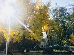 -四川大学(华西校区)