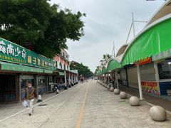 -大湾区中央湿地公园-十九涌