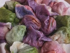 九鲜饺子-宝源饺子(麦子店街店)