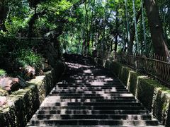 -宝石山