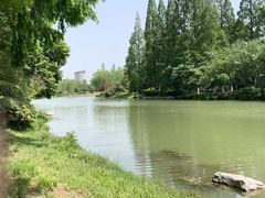 -桃花岛公园