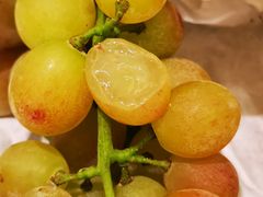 -马陆小张葡萄园农家乐