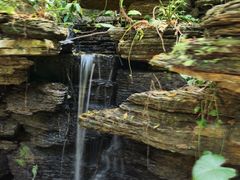 -水濂山森林公园