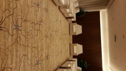 android_upload_pic-西安威斯汀大酒店·宴会厅