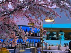 -花开餐厅(环湖中路店)