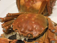 -王宝和酒家(黄浦店)