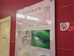 -上海昆虫博物馆