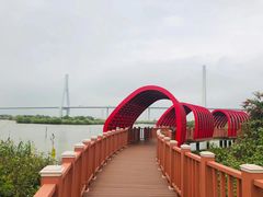 -芒洲湿地公园