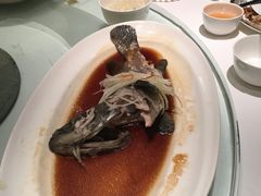 -富淳饭店(陆家嘴保利广场店)
