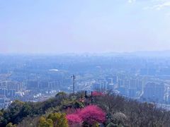 -杭州半山国家森林公园