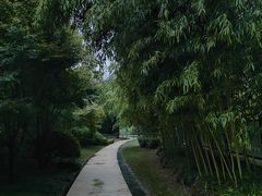 -仁恒西郊花园