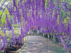 -宝岩生态观光园