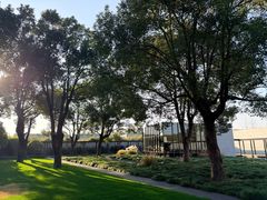 -养云安缦吧THE BAR