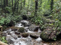 -莫里热带雨林景区