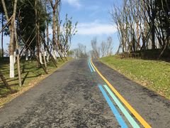 -云里小坐·小院里·团建·宴请·下午茶(三圣乡店)