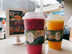 -野萃山·潮汕厚果汁(十亩地店)