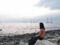 -宝安西湾红树林湿地公园