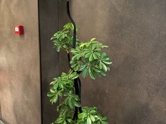 -巧庆楼·茶膳