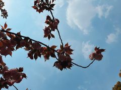 -上海交通大学(闵行校区)