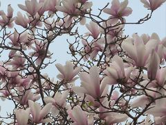 -朝阳公园游乐园