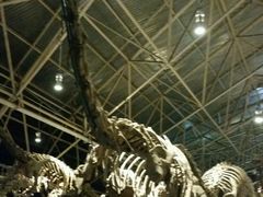 -世界恐龙谷景区