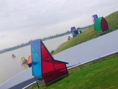 -荷兰花海
