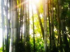 -广东温泉宾馆