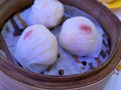 -憶廟街 X 沙角邨(太古城店)