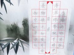 -赵汝飞练字硬笔书法(静安大融城校区)