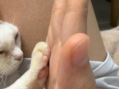 -山宅一喵德文卷毛猫舍