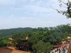 -深圳仙湖植物园-停车场