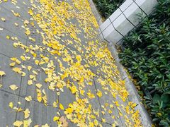 -星巴克(朵云轩店)