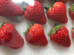 -叶氏兄弟果业(湖州龙王山路3店)