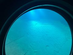 -白鹤梁水下博物馆