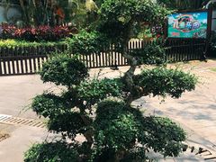 -海南文笔峰盘古文化旅游区