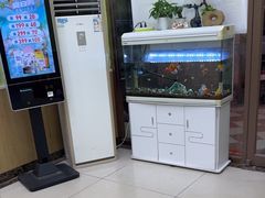 -瑞鹏宠物医院微创手术中心(西乡分院)