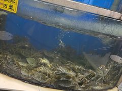 -海天盛宴新派海鲜自助餐厅(群力店)