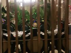 -东颖龙肥牛王(绵阳店)