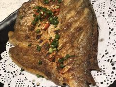 -九府羊·鲜羊火锅·烤串(新华路店)