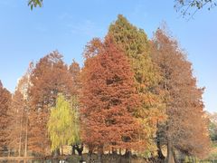 -白塘生态植物园