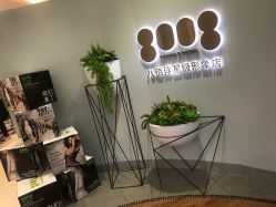 -八佰伴8008星级形象店