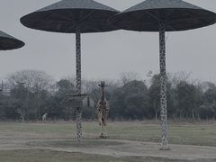 -宁波野生动物园