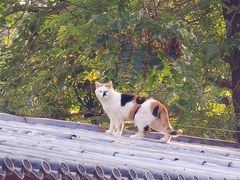 -北京石刻艺术博物馆(五塔寺)
