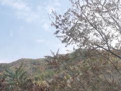 -天女山森林公园