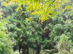 -山王坪喀斯特国家生态公园