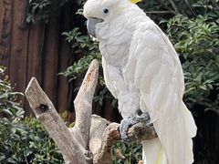 -上海野生动物园