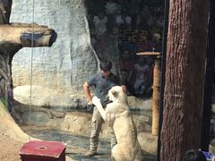 -清迈夜间动物园