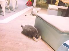 -小时光咖啡馆(开森度假森林店)