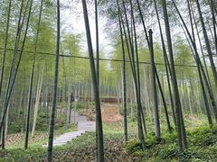 -东明山森林公园